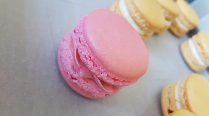 macaroon.png